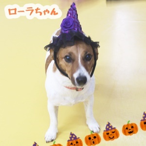 もーいーくつねーるーとー♪_f0357682_17414534.jpg