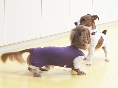 もーいーくつねーるーとー♪_f0357682_17455901.jpg