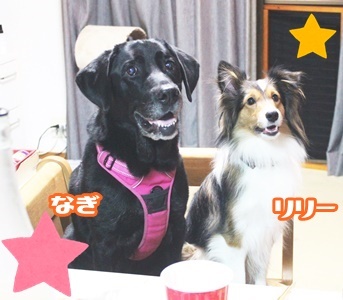 もーいーくつねーるーとー♪_f0357682_18061036.jpg