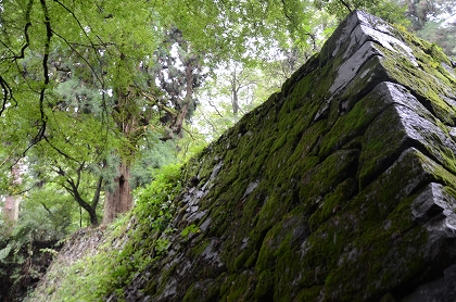 c0229483_1334287.jpg