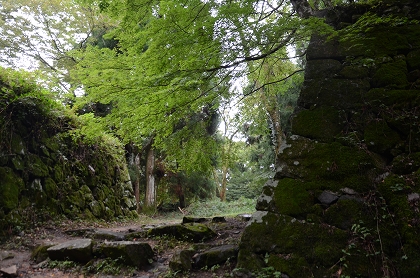 c0229483_1384884.jpg
