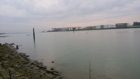 c0241485_20393630.jpg