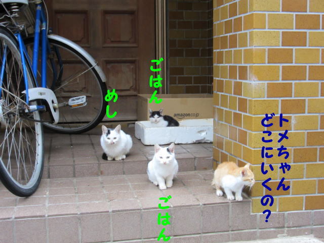 f0257085_15135668.jpg