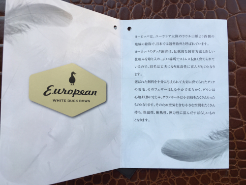 NANGAのダウンがやって来た!_e0357389_14545562.jpg