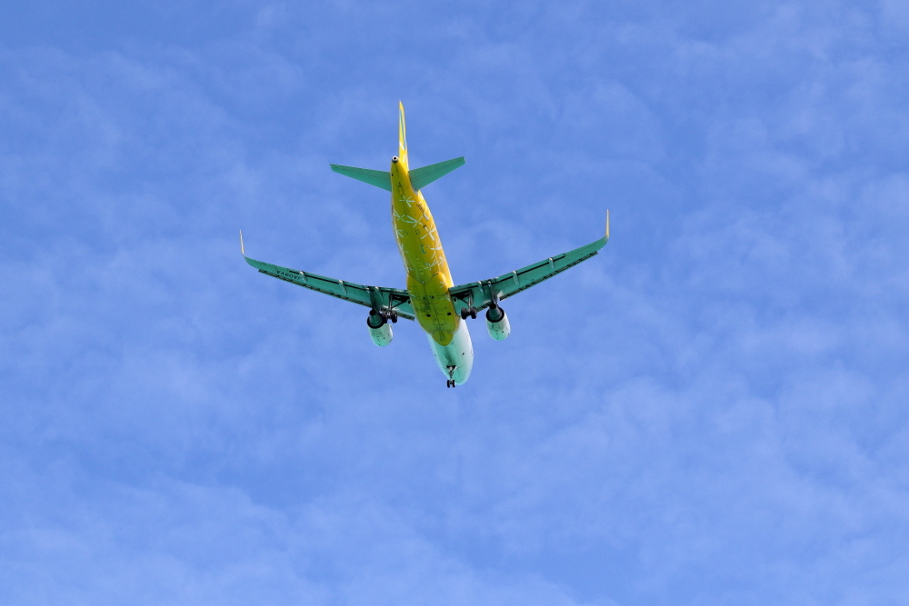 バニラエア 下地島空港での訓練 その5 RWY17エンドでいろいろ撮ってみました_e0204891_18443733.jpg