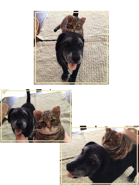 d0282395_15411920.png