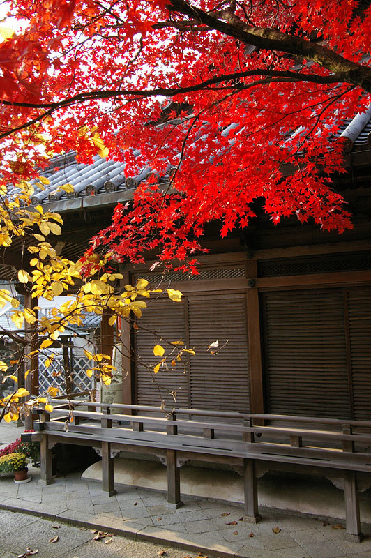 c0382798_17113640.jpg