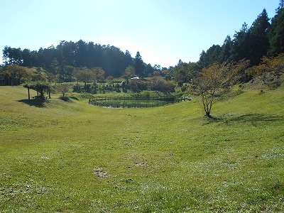 f0308898_19141569.jpg