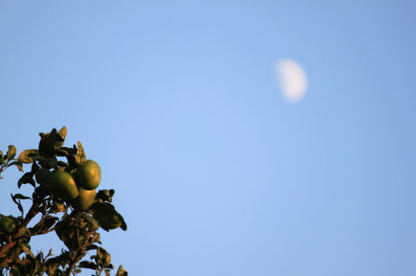 c0368903_20043143.jpg