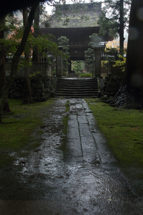 雨の禅寺　_a0357206_21294878.jpg