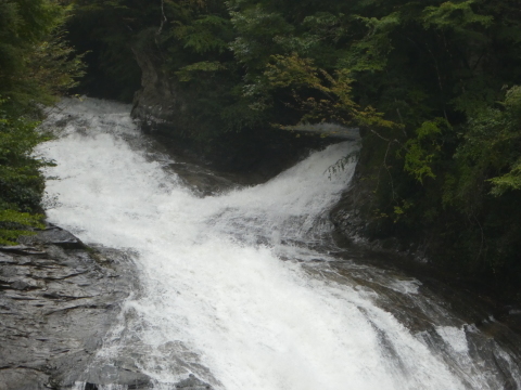 a0139908_13364355.jpg