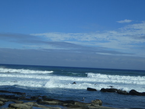 a0139908_13382243.jpg