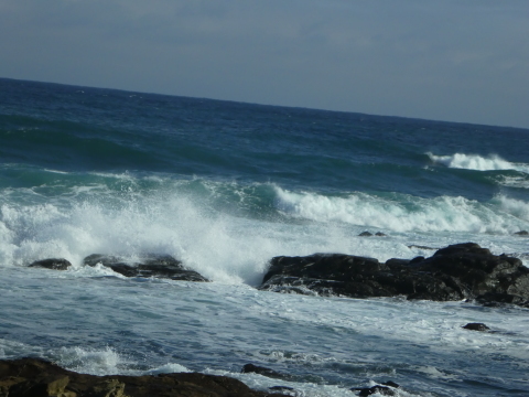 a0139908_13385738.jpg