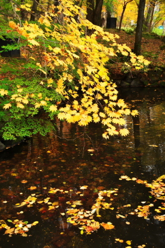 a0263109_08262493.jpg
