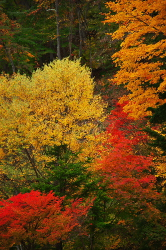 a0263109_08271442.jpg