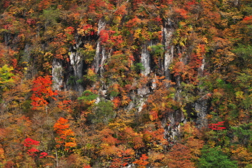 a0263109_22173936.jpg