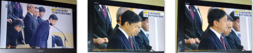 f0231709_01353569.gif