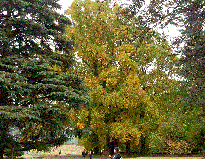 f0231709_05535910.gif