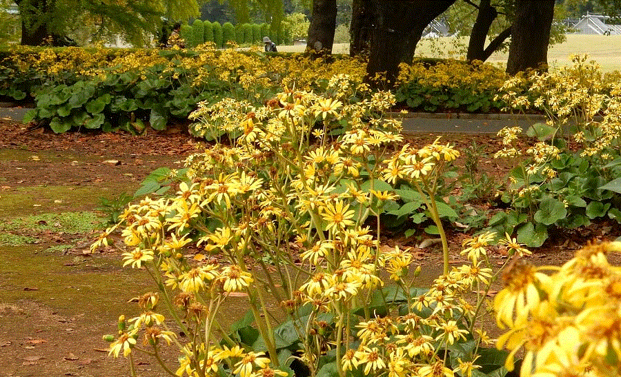 f0231709_05565796.gif