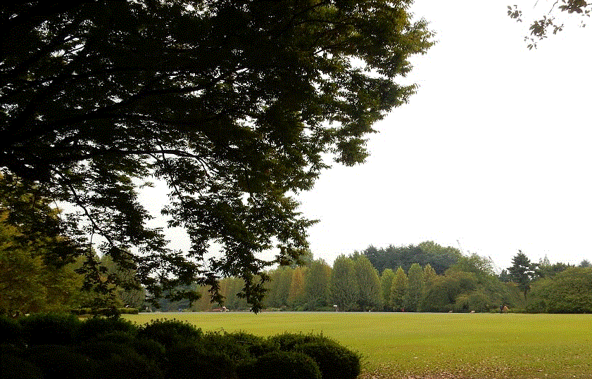 f0231709_06010736.gif