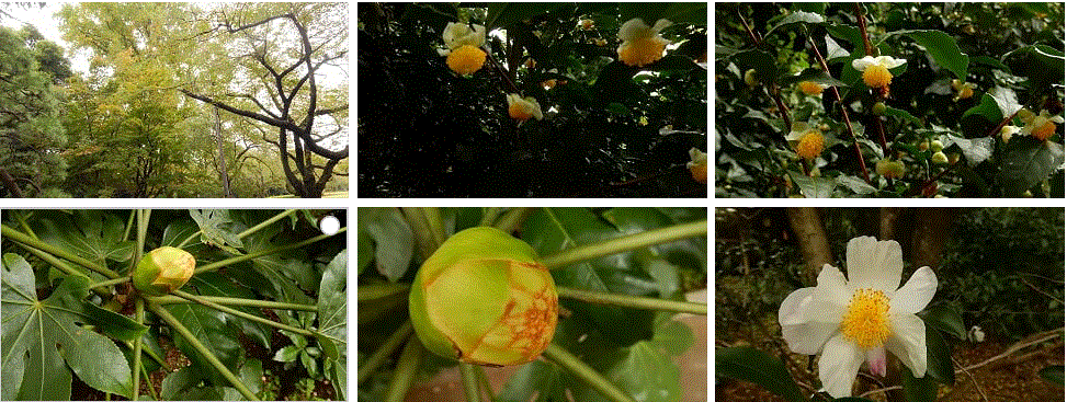 f0231709_06061314.gif
