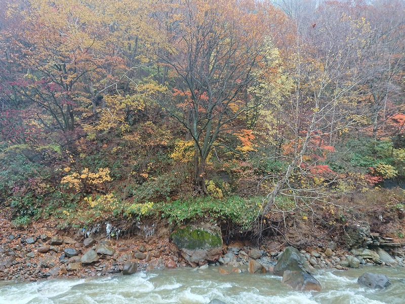 f0100911_22353044.jpg