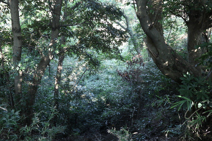 e0034013_17093995.jpg