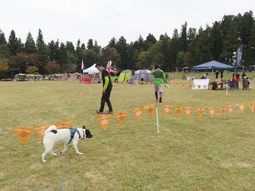 c0084117_21491147.jpg