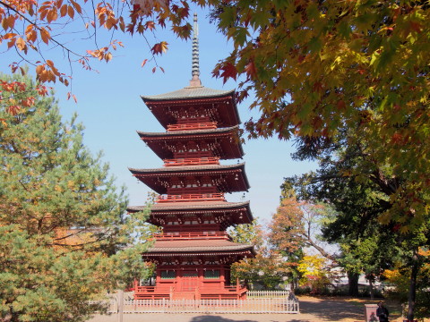 最勝院五重塔(弘前市)の紅葉*2017.10.28_b0147224_14411998.jpg