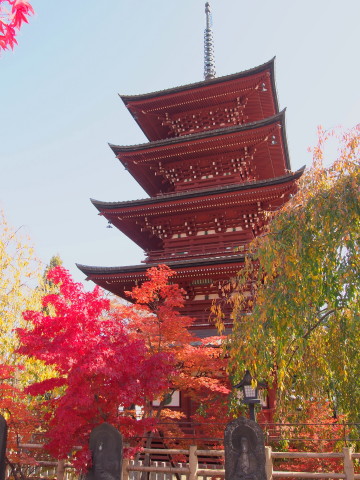 最勝院五重塔(弘前市)の紅葉*2017.10.28_b0147224_14421380.jpg