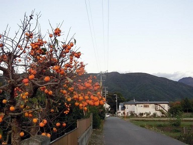 e0234924_10140175.jpg