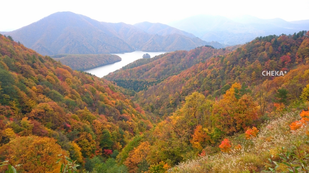 c0229025_12004806.jpg