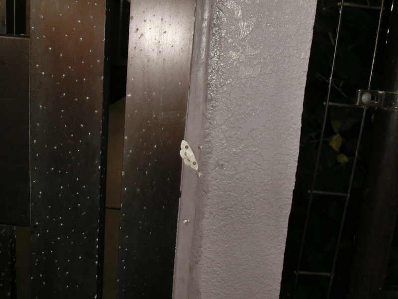 a0126632_12282509.gif