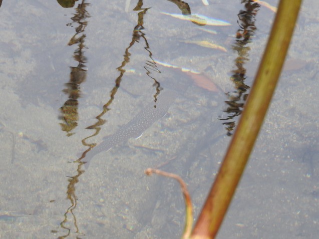f0118332_01033672.jpg