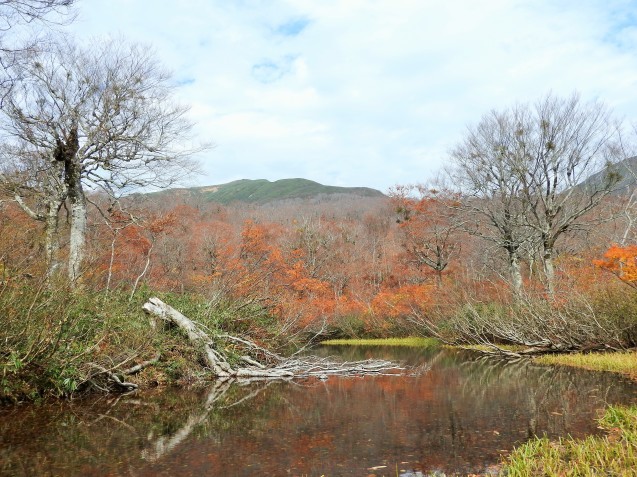 f0118332_01035981.jpg