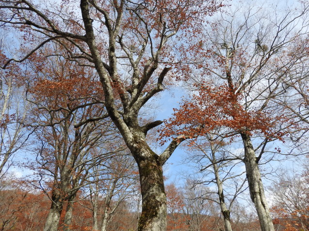 f0118332_01043687.jpg