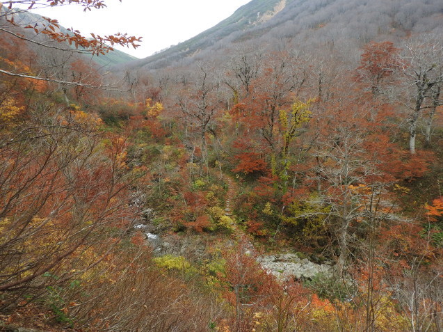 f0118332_01082519.jpg