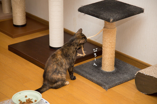 ミニタワーがぴろぴろしてきた理由_d0355333_11123118.jpg