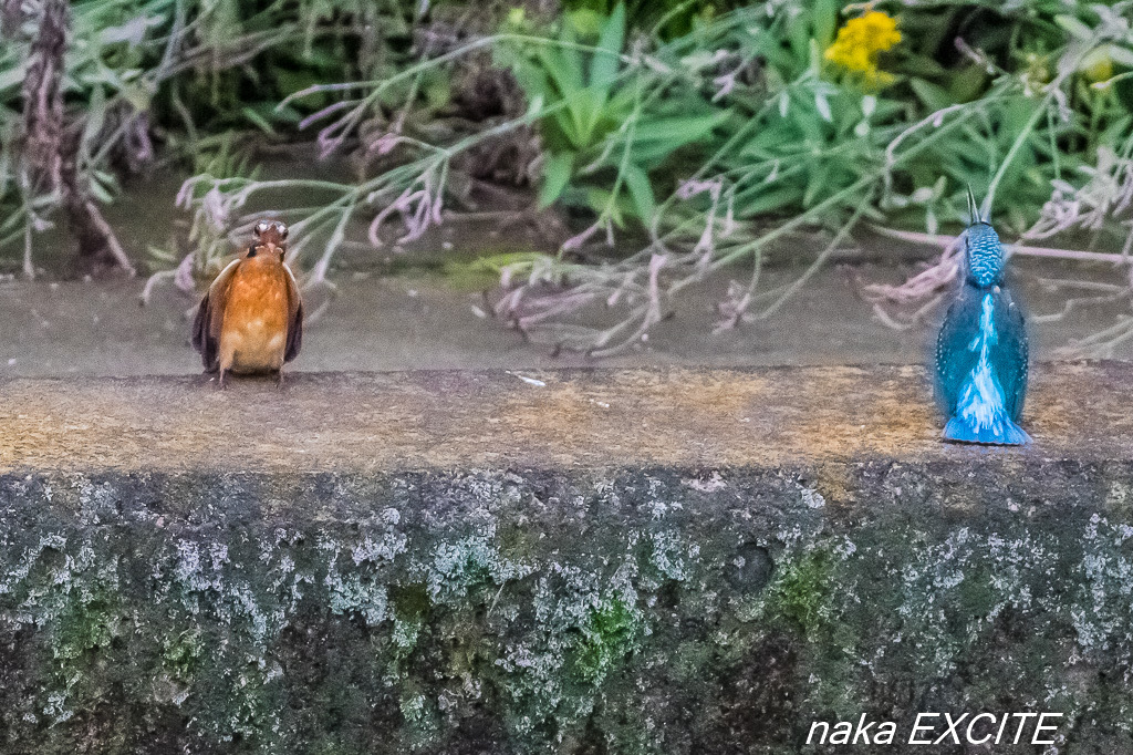 いよいよ　（2017/10/29　雨）_f0281533_10155973.jpg