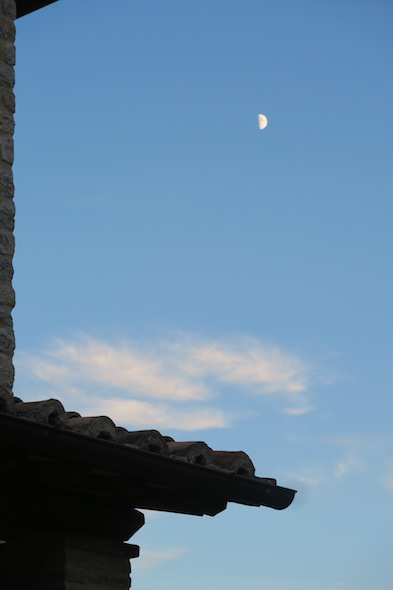 f0234936_51273.jpg
