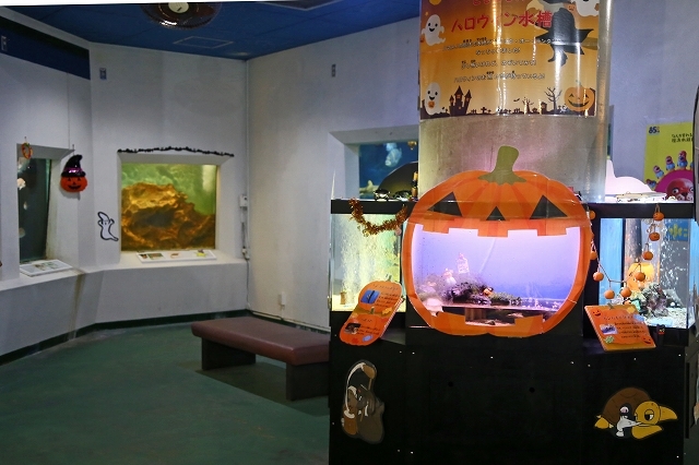 a0242438_18062320.jpg