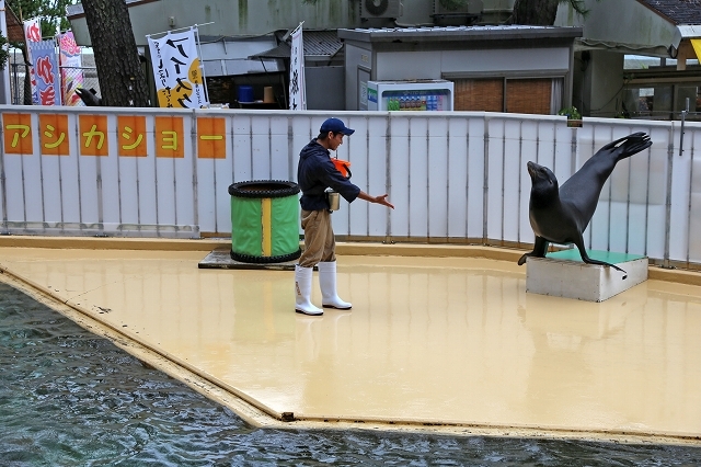 a0242438_18063197.jpg