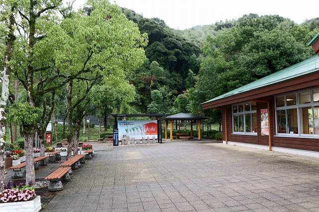 a0242438_18092946.jpg