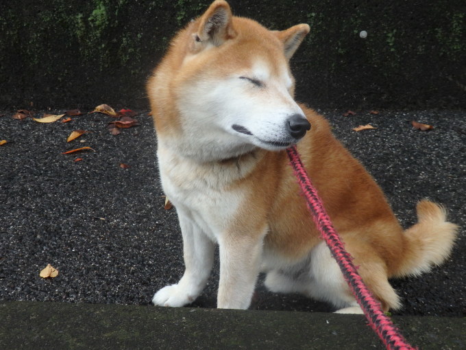 a0054240_20430425.jpg