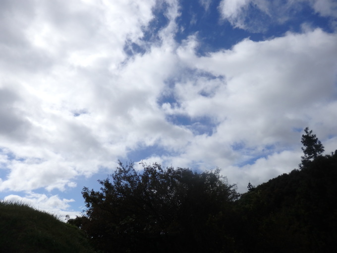a0054240_20554568.jpg