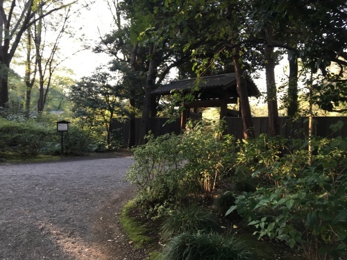 b0330040_16335593.jpeg