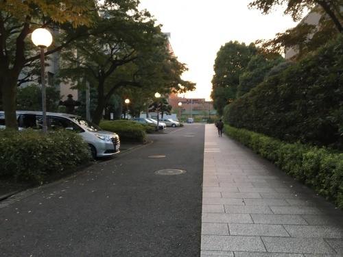 b0330040_23491841.jpeg