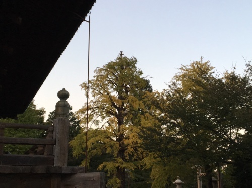 b0330040_23511748.jpeg