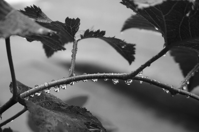 f0158043_21591567.jpg