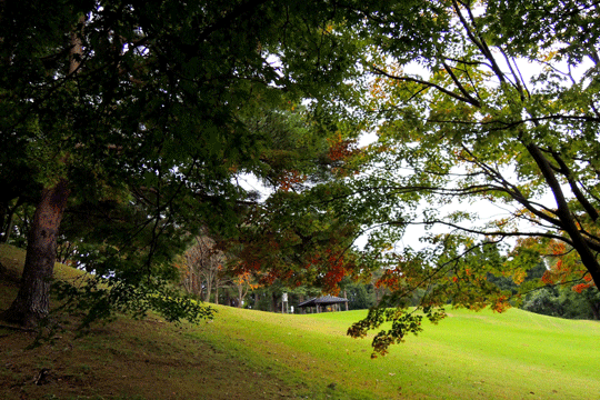 c0093046_08310416.gif